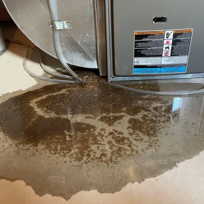 Pipe Burst and Leak Restoration in Rome, GA