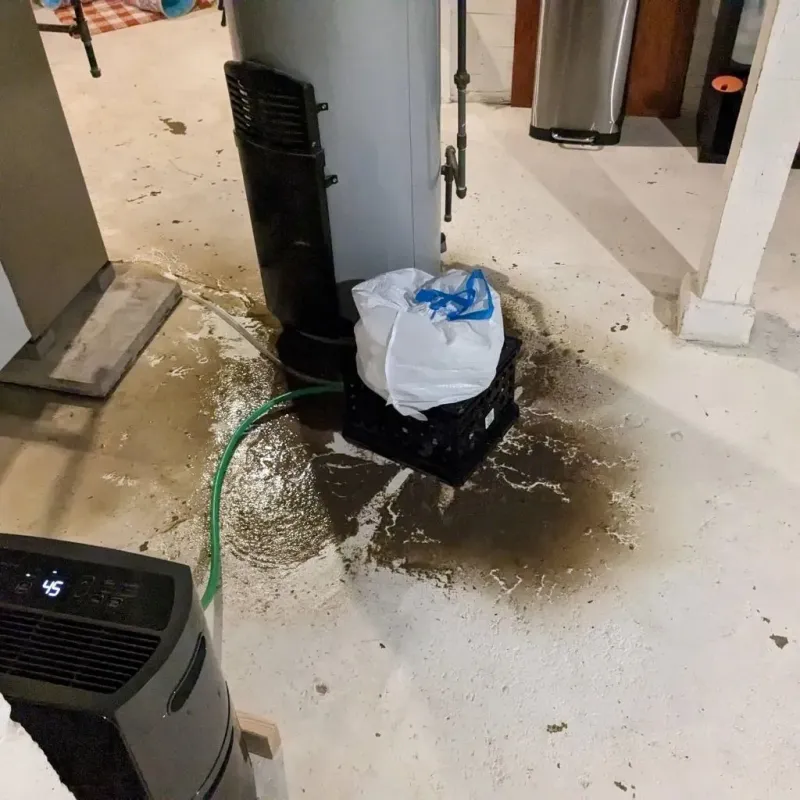 Sewage Backup Cleanup Service in Rome, GA